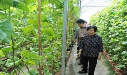 安徽网红八卦吃瓜是真的吗,吃瓜真相大起底